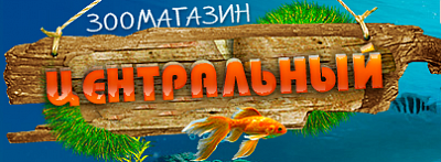 Центральный