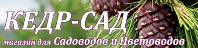 Кедр-Сад